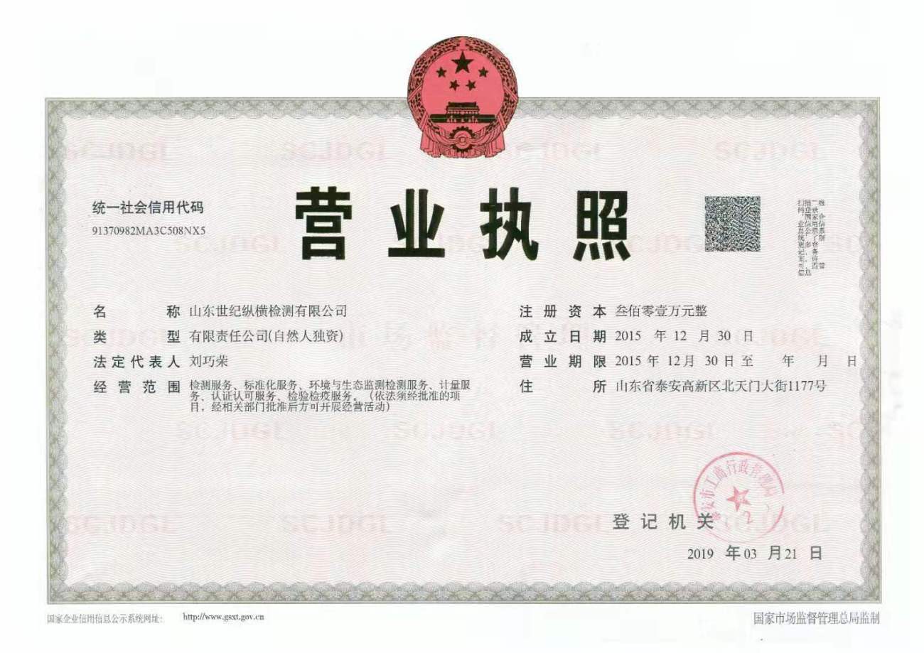 山东世纪纵横检测