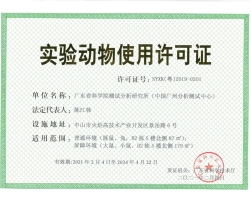 Details Image