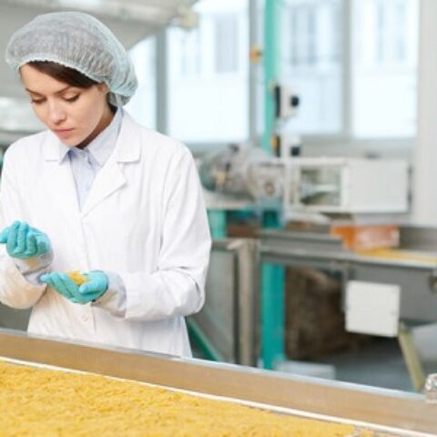 食品安全管理体系认证(ISO/HACCP/BRC/FSSC)