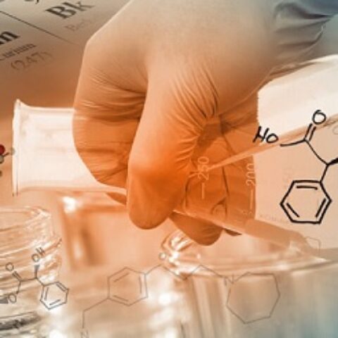 药效学研究评价