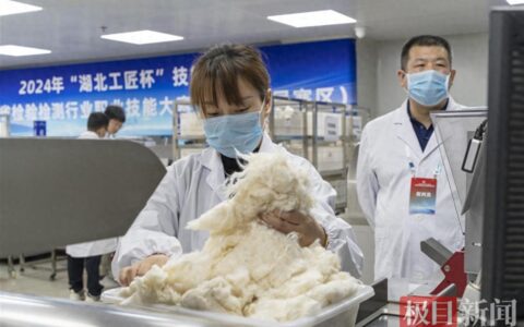 湖北检验检测行业职业技能大赛，激发技术人才投身检验行业