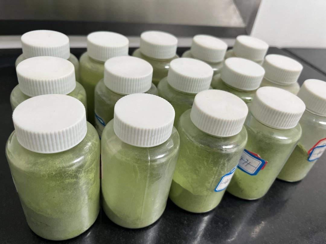 从检测视角解码铜仁抹茶进阶之路