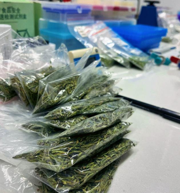 我在实验室当女工的第N天