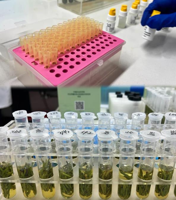 我在实验室当女工的第N天