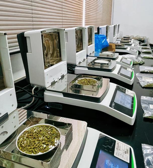 我在实验室当女工的第N天