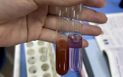 检测生物组织中的糖类、脂肪和蛋白质