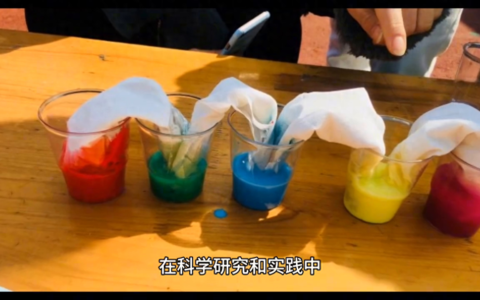 检测与检验实验的区别