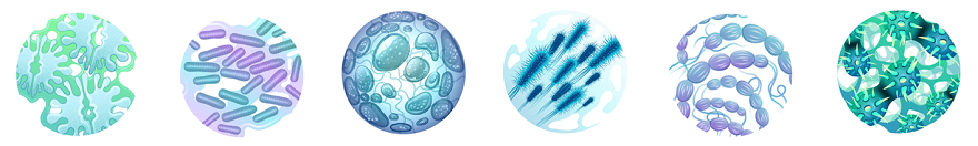 微生物检测