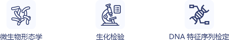 微生物检测