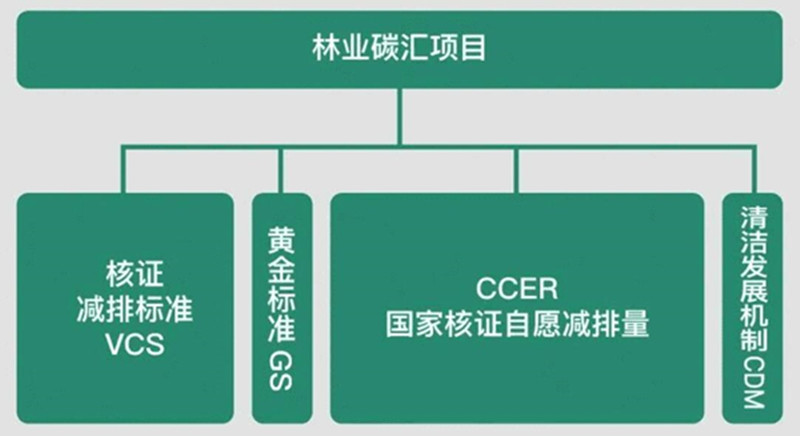 林业碳汇