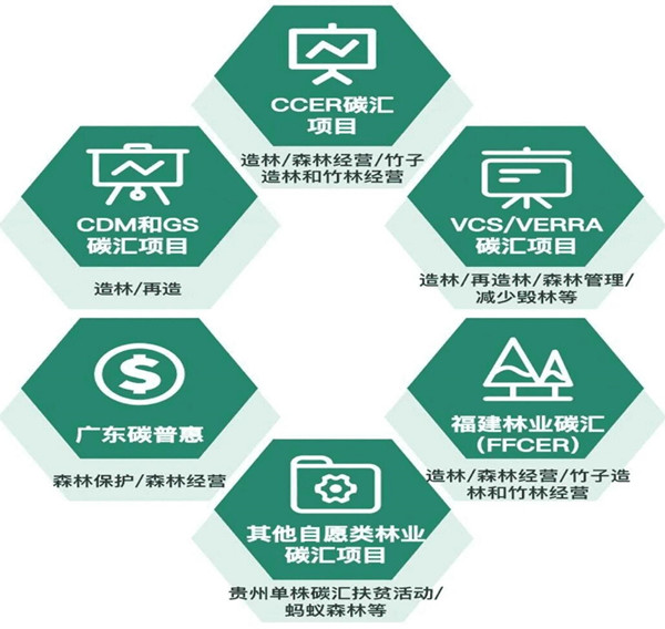 林业碳汇