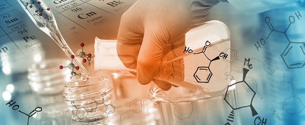 药效学研究评价
